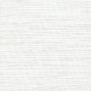 Anno | Cloud 2431830103