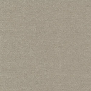 NEW 2022 Ava | Mudslide RL21V180