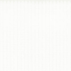 Fineline | White 1710940002