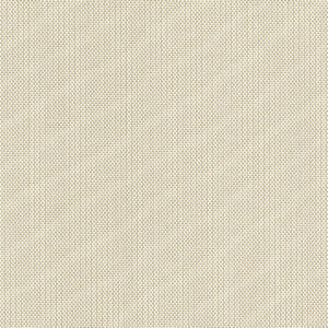 NS + BW 1-3-5 | White Sand