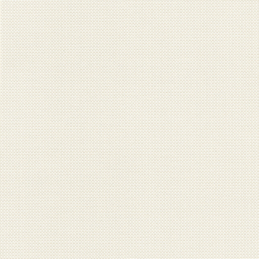 NS + BW 1-3-5 | White White Pearl