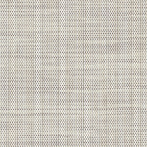 NEW 2022 NS + Deco FR | Fossil NSDM0428