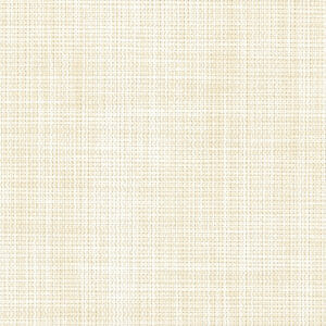 NEW 2022 NS + Deco FR | Ginger NSDM0104