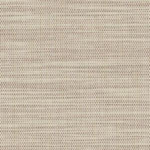 NEW 2022 NS + Deco FR | Sandalwood NSDM0408