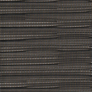 NS + Regal | Obsidian 9120003800086