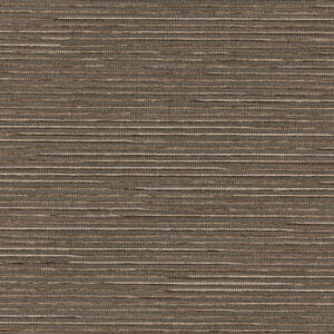 Palister | Earth 2446904749 Palister | Earth 2446904749