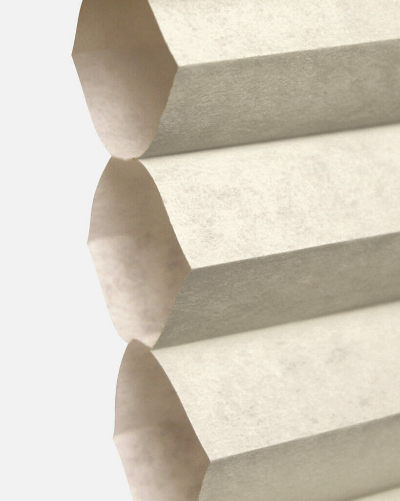 Signature F16-951 Star Magnolia TR