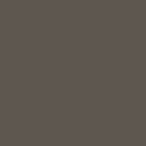 405 Pewter Gray