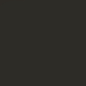 887 Raw Umber